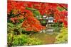 Japanese Garden in Nikko, Japan.-SeanPavonePhoto-Mounted Photographic Print