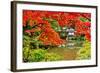 Japanese Garden in Nikko, Japan.-SeanPavonePhoto-Framed Photographic Print