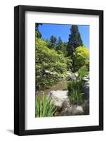 Japanese Garden in Seattle-Iriana Shiyan-Framed Photographic Print