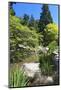 Japanese Garden in Seattle-Iriana Shiyan-Mounted Photographic Print