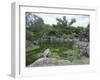 Japanese Garden of Nijo Castle, Kyoto, Japan-Shin Terada-Framed Photographic Print