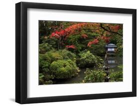 Japanese garden outside the Tokugawa Mausoleum, Nikko, Honshu, Japan, Asia-David Pickford-Framed Photographic Print