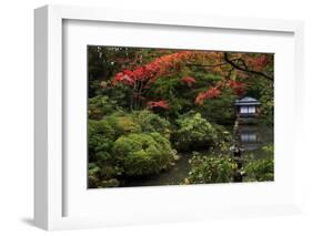 Japanese garden outside the Tokugawa Mausoleum, Nikko, Honshu, Japan, Asia-David Pickford-Framed Photographic Print