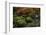 Japanese garden outside the Tokugawa Mausoleum, Nikko, Honshu, Japan, Asia-David Pickford-Framed Photographic Print