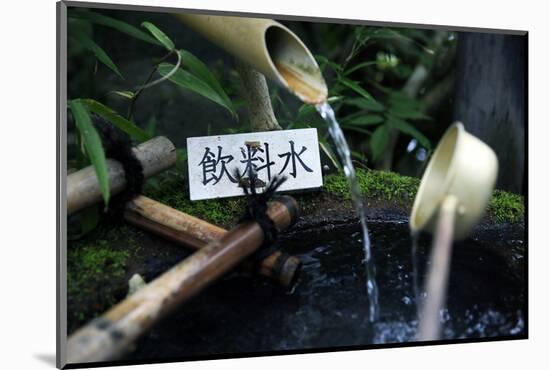 Japanese garden outside the Tokugawa Mausoleum, Nikko, Honshu, Japan, Asia-David Pickford-Mounted Photographic Print