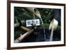 Japanese garden outside the Tokugawa Mausoleum, Nikko, Honshu, Japan, Asia-David Pickford-Framed Photographic Print