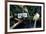 Japanese garden outside the Tokugawa Mausoleum, Nikko, Honshu, Japan, Asia-David Pickford-Framed Photographic Print