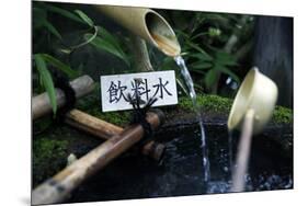 Japanese garden outside the Tokugawa Mausoleum, Nikko, Honshu, Japan, Asia-David Pickford-Mounted Photographic Print