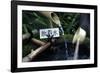 Japanese garden outside the Tokugawa Mausoleum, Nikko, Honshu, Japan, Asia-David Pickford-Framed Photographic Print