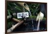 Japanese garden outside the Tokugawa Mausoleum, Nikko, Honshu, Japan, Asia-David Pickford-Framed Photographic Print