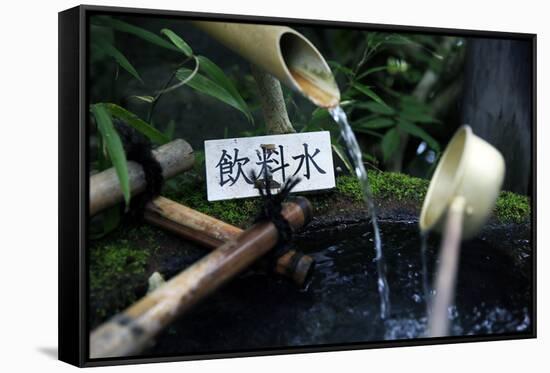 Japanese garden outside the Tokugawa Mausoleum, Nikko, Honshu, Japan, Asia-David Pickford-Framed Stretched Canvas