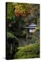 Japanese garden outside the Tokugawa Mausoleum, UNESCO World Heritage Site, Nikko, Honshu, Japan, A-David Pickford-Stretched Canvas