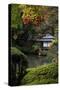 Japanese garden outside the Tokugawa Mausoleum, UNESCO World Heritage Site, Nikko, Honshu, Japan, A-David Pickford-Stretched Canvas