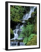 Japanese Garden, Portland, Oregon, USA-Adam Jones-Framed Premium Photographic Print