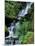 Japanese Garden, Portland, Oregon, USA-Adam Jones-Mounted Premium Photographic Print