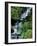 Japanese Garden, Portland, Oregon, USA-Adam Jones-Framed Photographic Print