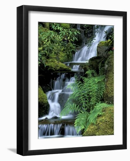 Japanese Garden, Portland, Oregon, USA-Adam Jones-Framed Photographic Print