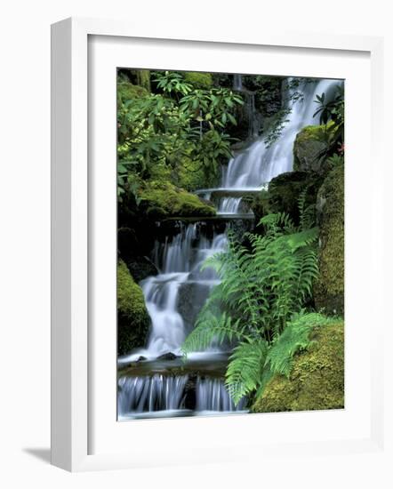 Japanese Garden, Portland, Oregon, USA-Adam Jones-Framed Photographic Print
