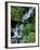 Japanese Garden, Portland, Oregon, USA-Adam Jones-Framed Photographic Print