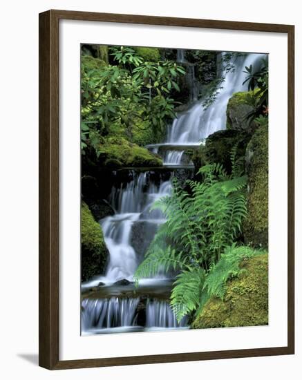 Japanese Garden, Portland, Oregon, USA-Adam Jones-Framed Photographic Print