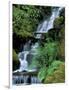 Japanese Garden, Portland, Oregon, USA-Adam Jones-Framed Photographic Print