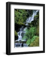 Japanese Garden, Portland, Oregon, USA-Adam Jones-Framed Premium Photographic Print