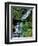 Japanese Garden, Portland, Oregon, USA-Adam Jones-Framed Premium Photographic Print