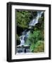 Japanese Garden, Portland, Oregon, USA-Adam Jones-Framed Premium Photographic Print