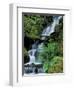 Japanese Garden, Portland, Oregon, USA-Adam Jones-Framed Premium Photographic Print