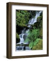 Japanese Garden, Portland, Oregon, USA-Adam Jones-Framed Photographic Print