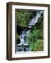 Japanese Garden, Portland, Oregon, USA-Adam Jones-Framed Photographic Print