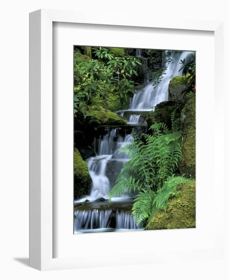 Japanese Garden, Portland, Oregon, USA-Adam Jones-Framed Photographic Print