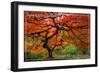 Japanese Garden - Portland, Oregon-Lantern Press-Framed Art Print