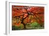 Japanese Garden - Portland, Oregon-Lantern Press-Framed Art Print