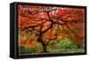 Japanese Garden - Portland, Oregon-Lantern Press-Framed Stretched Canvas