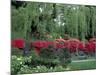 Japanese Garden Rhododendrons in Washington Park Arboretum, Seattle, Washington, USA-Jamie & Judy Wild-Mounted Photographic Print