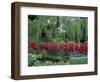 Japanese Garden Rhododendrons in Washington Park Arboretum, Seattle, Washington, USA-Jamie & Judy Wild-Framed Photographic Print