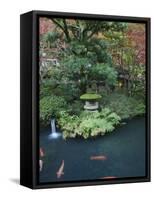 Japanese Garden, Tokyo, Japan-Rob Tilley-Framed Stretched Canvas