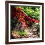 Japanese Garden VI-Alan Hausenflock-Framed Photo