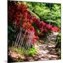 Japanese Garden VI-Alan Hausenflock-Mounted Photo