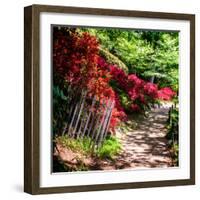 Japanese Garden VI-Alan Hausenflock-Framed Photo