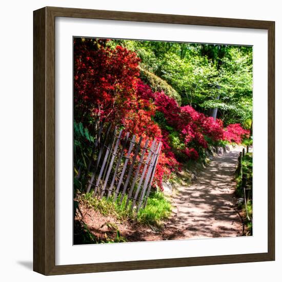 Japanese Garden VI-Alan Hausenflock-Framed Photo