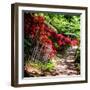 Japanese Garden VI-Alan Hausenflock-Framed Photo