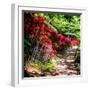 Japanese Garden VI-Alan Hausenflock-Framed Photo