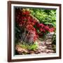 Japanese Garden VI-Alan Hausenflock-Framed Photo