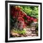 Japanese Garden VI-Alan Hausenflock-Framed Photo