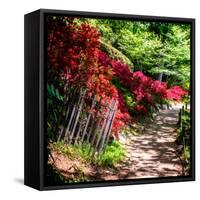 Japanese Garden VI-Alan Hausenflock-Framed Stretched Canvas