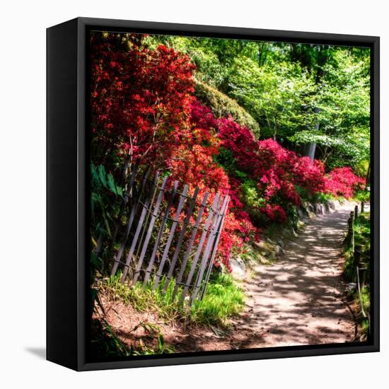 Japanese Garden VI-Alan Hausenflock-Framed Stretched Canvas