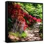 Japanese Garden VI-Alan Hausenflock-Framed Stretched Canvas