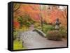 Japanese Garden, Washington Park Arboretum, Seattle, Washington, Usa-Jamie & Judy Wild-Framed Stretched Canvas